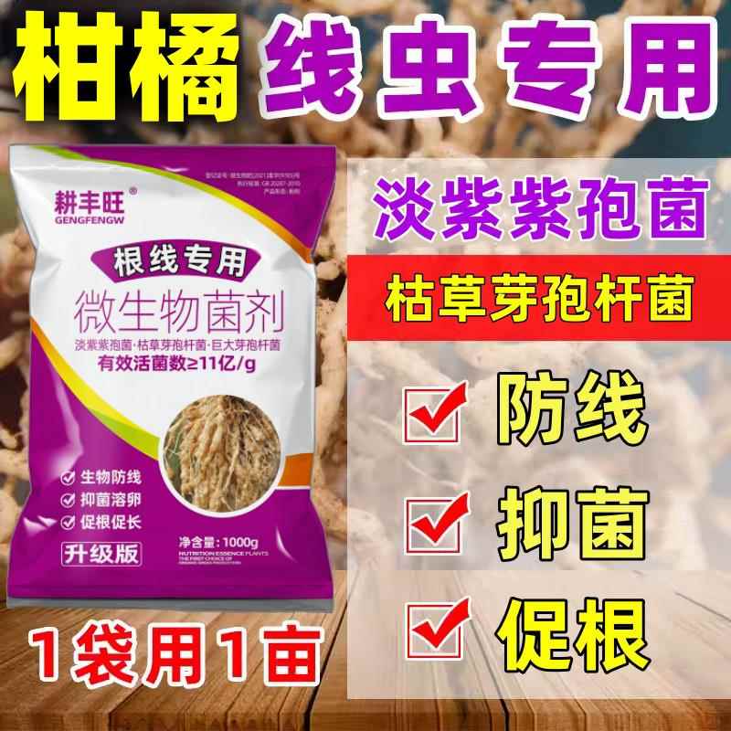柑橘根结线虫专用药柑桔线虫药淡紫紫孢菌枯草芽孢杆柑橘线虫克星