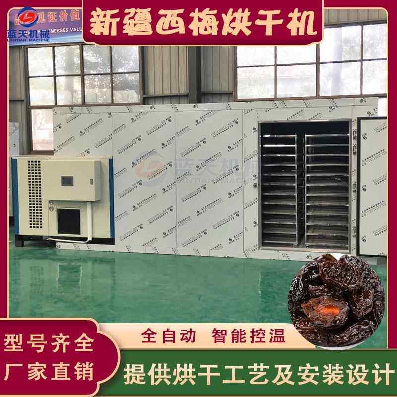 西梅烘干机 大型新疆加州梅梅子干西洋梅‌烘干设备 西梅干烘干房