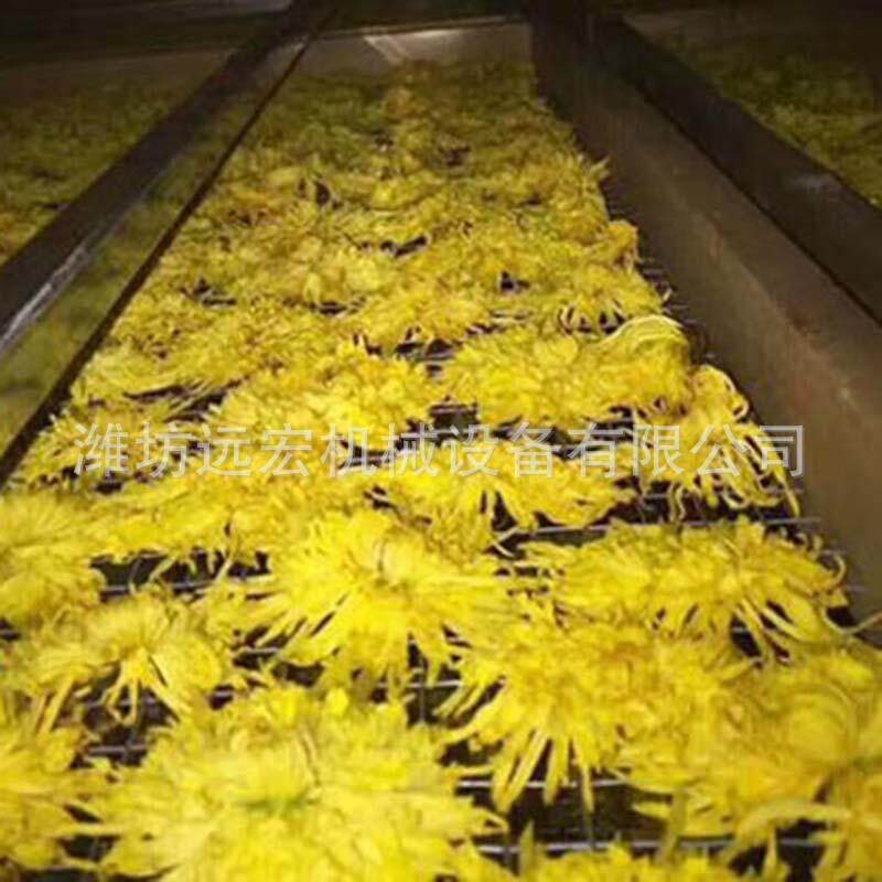 厂家供应GXK  菊花烘干机 金丝类黄菊烘干箱 金银花烘设干机花烘