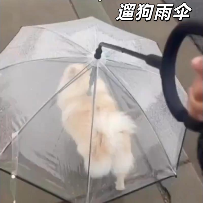 狗狗雨伞宠物透明遛狗牵引绳雨天泰迪中小犬神器可调节用品专用