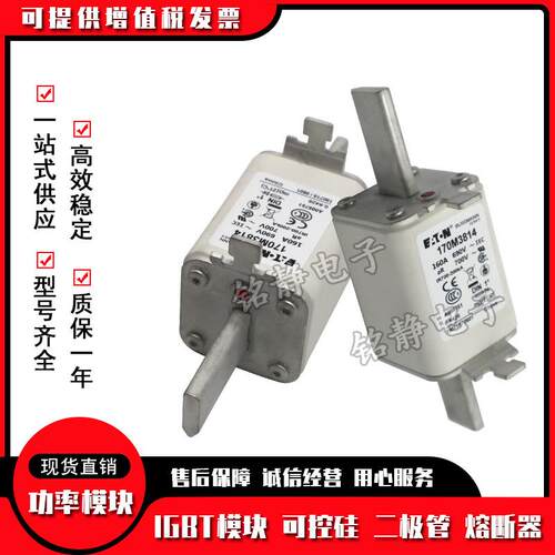 170M2608 170M2609 170M2610 170M2611巴斯曼熔断器现货170M2612