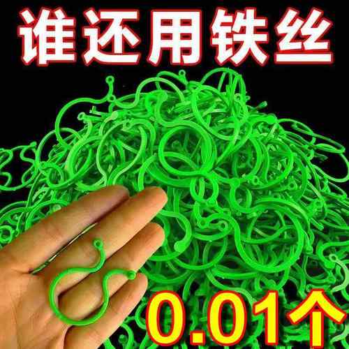 爬藤黄瓜茄子扎绑8字扣植