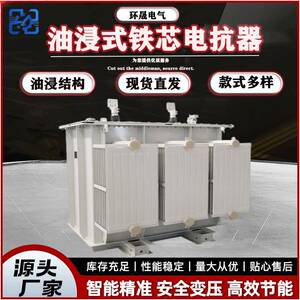 高压10kv电力电器厂家直销高压三相电力系统油浸式铁芯电抗器