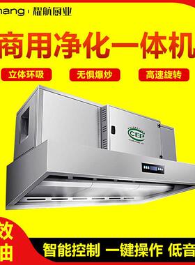 商用厨房油烟净化器一体机餐饮大吸力饭店除油烟除味烟罩无烟环保