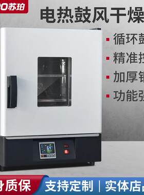 电热恒温鼓风干燥箱高温小型工业烘干机加热烤箱烘箱实验室