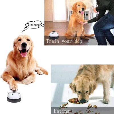 Pet Toys Bell for Dogs Cat Training Interactive Toy Called D