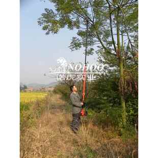 园林修枝油锯 高空汽油锯 4米可伸缩高枝锯 5.2m长杆高枝油锯