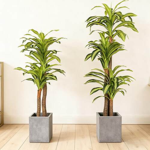 高端轻奢仿真巴西木假绿植盆栽大型室内客厅落地装饰造景仿生植物
