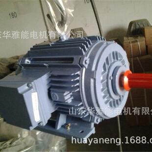 IC410闷盖无风扇罩自然风冷 280电机冷却方式 华力YL电机YC355L1