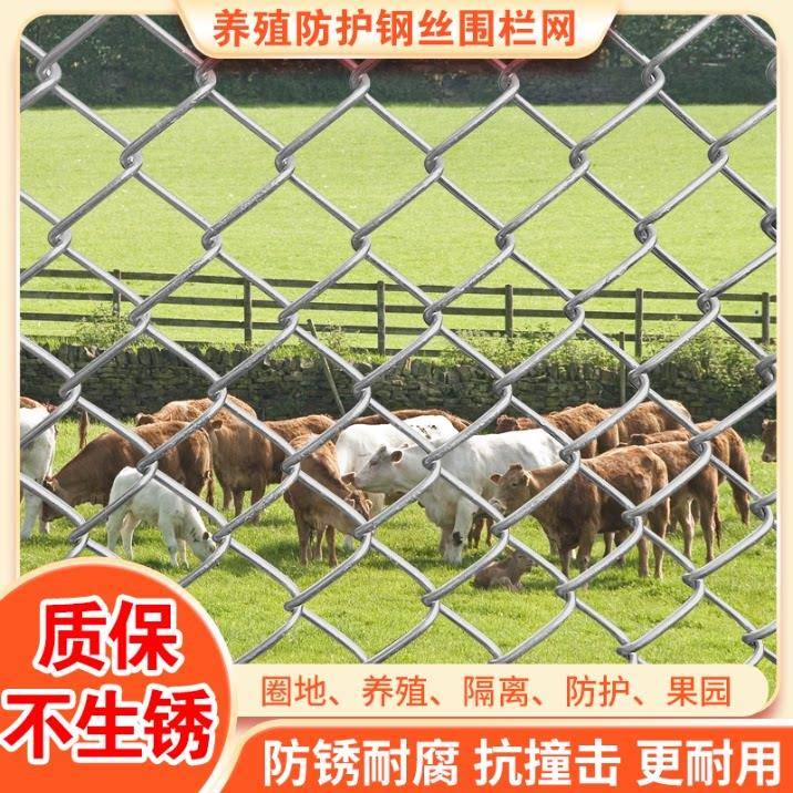 浸镀锌铁丝网围栏网护护栏防钢丝圈网果园菜地养热鸡拦牛羊网不生