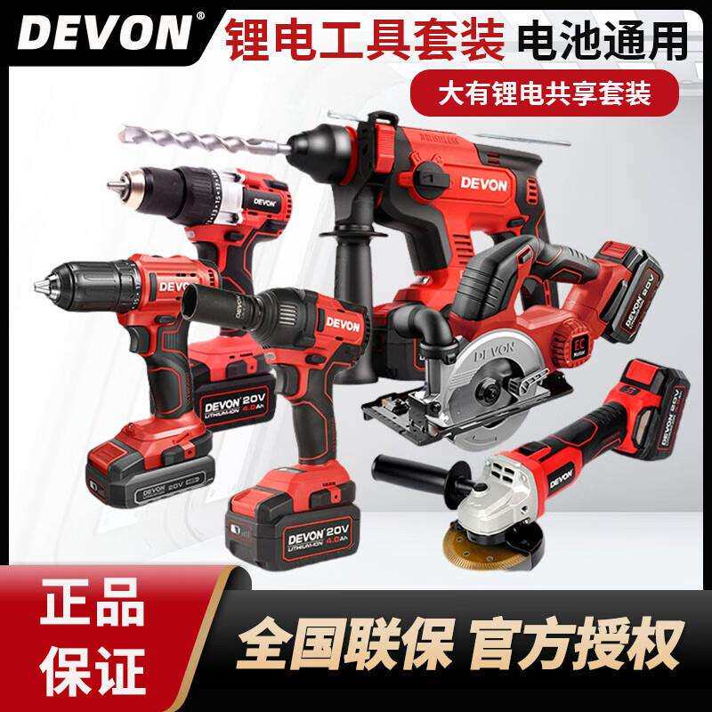 大有大有5401全能充电电锤电镐锂电冲击钻打混凝土家用无刷电动工