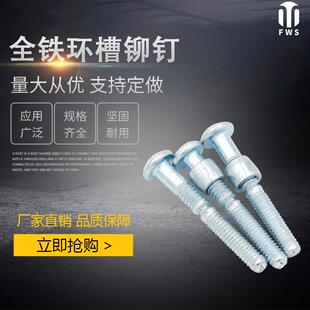 菲沃斯五金紧固件全铁环槽圆头抽芯铆钉哈克铆钉虎克铆钉锁紧螺栓