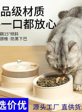 Ceramic-like Dual Bowl Pet Feeder and Waterer, Neck-Protecti