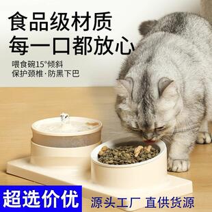 Ceramic-like Dual Bowl Pet Feeder and Waterer, Neck-Protecti