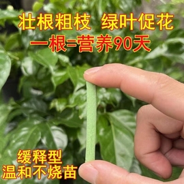 植物缓释营养棒养花通用型家用绿植盆栽蔬菜有机花卉多肉缓释肥料