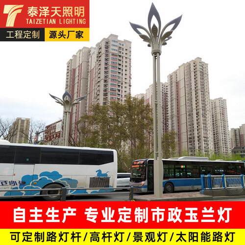 厂家定制led室外大型景观灯八叉九火市政道路公园景区照明玉兰灯
