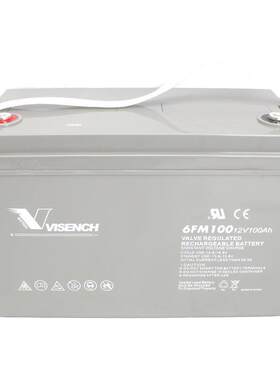 VISENCH/威神蓄电池12V100AH 免维护铅酸6FM100蓄电池 备用电源