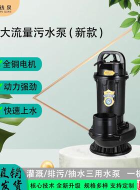 48v60v直流无刷太阳能3寸4寸大流量铸铁鱼塘农用灌溉抽水污水泵