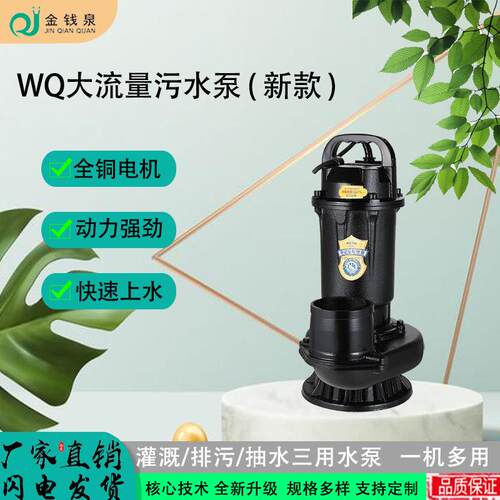 48v60v直流无刷太阳能3寸4寸大流量铸铁鱼塘农用灌溉抽水污水泵