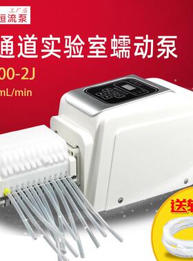 小型实验室蠕动泵多通道高精度计量融柏BT100-2J实验分液恒流泵