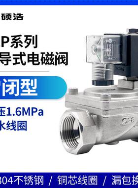 SLP-16P电磁阀220v24v不锈钢耐高压先导式水阀进水消防气阀DN1520