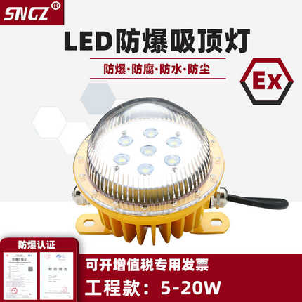 LED防爆灯5W10W20W厂房防水防腐隧道地下室电缆沟 固态防爆吸顶灯