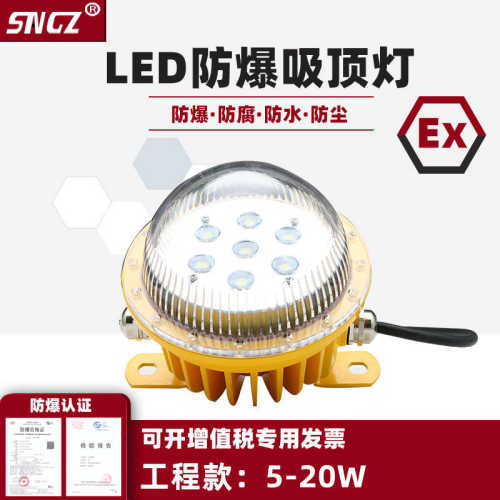 LED防爆灯5W10W20W厂房防水防腐隧道地下室电缆沟 固态防爆吸顶灯