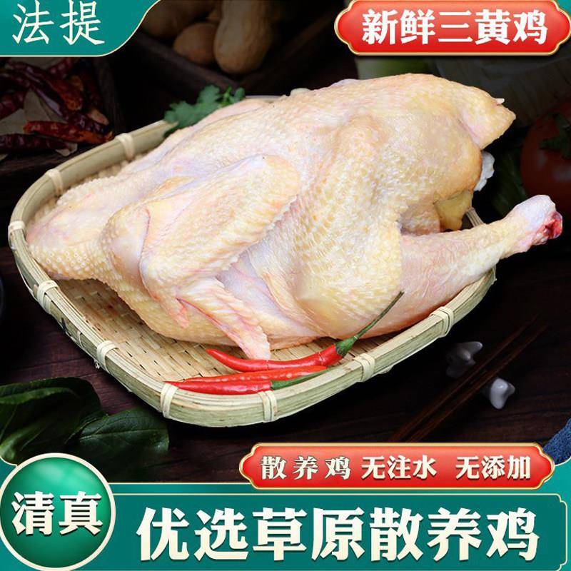 清真内蒙农家农家鸡新鲜整鸡生鲜冷冻整只三黄鸡冰冻全鸡处理干净
