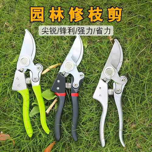 修枝剪园林园艺剪刀果树枝剪刀花园绿化修剪园林工具省力粗枝剪子