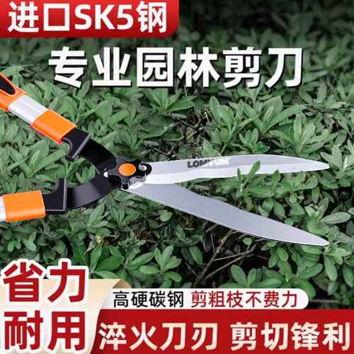 园艺修剪树枝专用修绿化草坪绿篱剪大花剪园林修枝剪剪枝工具剪刀