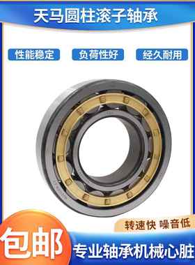 天马圆柱滚子轴承NJ NU N 203 204 205 206 207 208 209EM