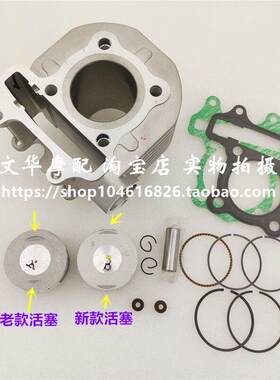 大阳摩托 托滑板车格格DY100T-6/100T-8原厂套缸 活塞/环 气缸体
