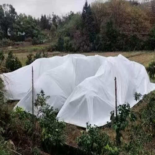 果树防寒无纺布柑橘防霜冻蔬菜保温防寒水稻育秧覆盖苗床铺基底布