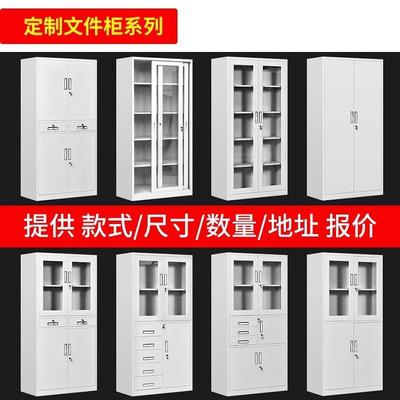 定制专拍钢柜定制铁皮柜文件柜矮柜鞋柜不锈钢清洁柜铁艺储物柜