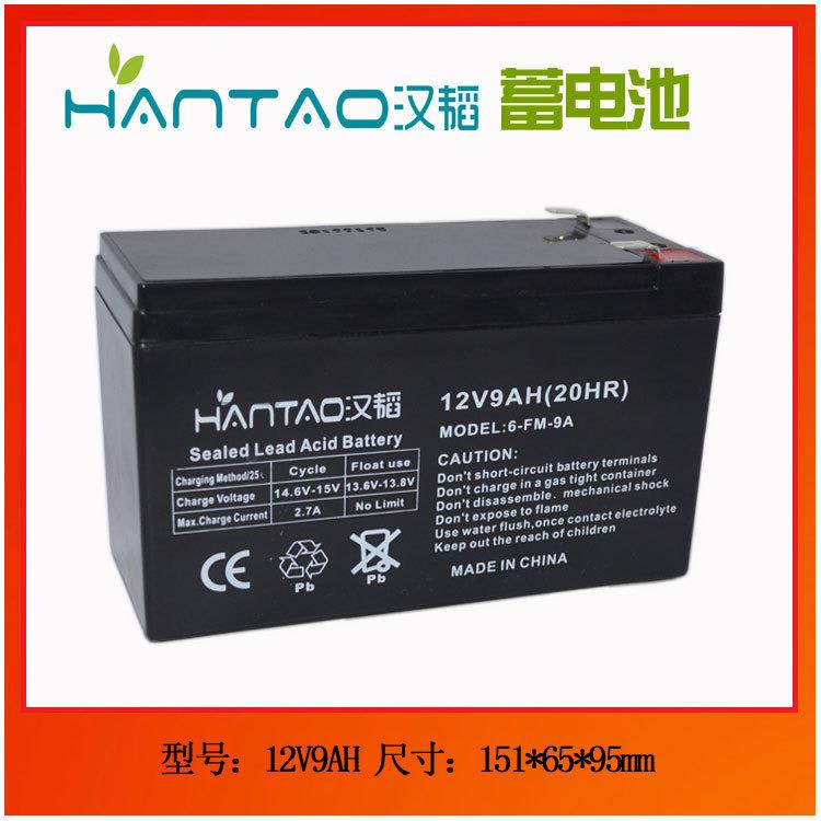 优质 12V9AH 船用蓄电池 行走气模报警主机门禁备用电源优选