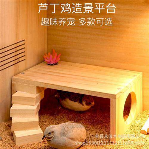 芦丁鸡喂食台配件装饰仓鼠用品全套二层平台架子宠物箱别墅造景