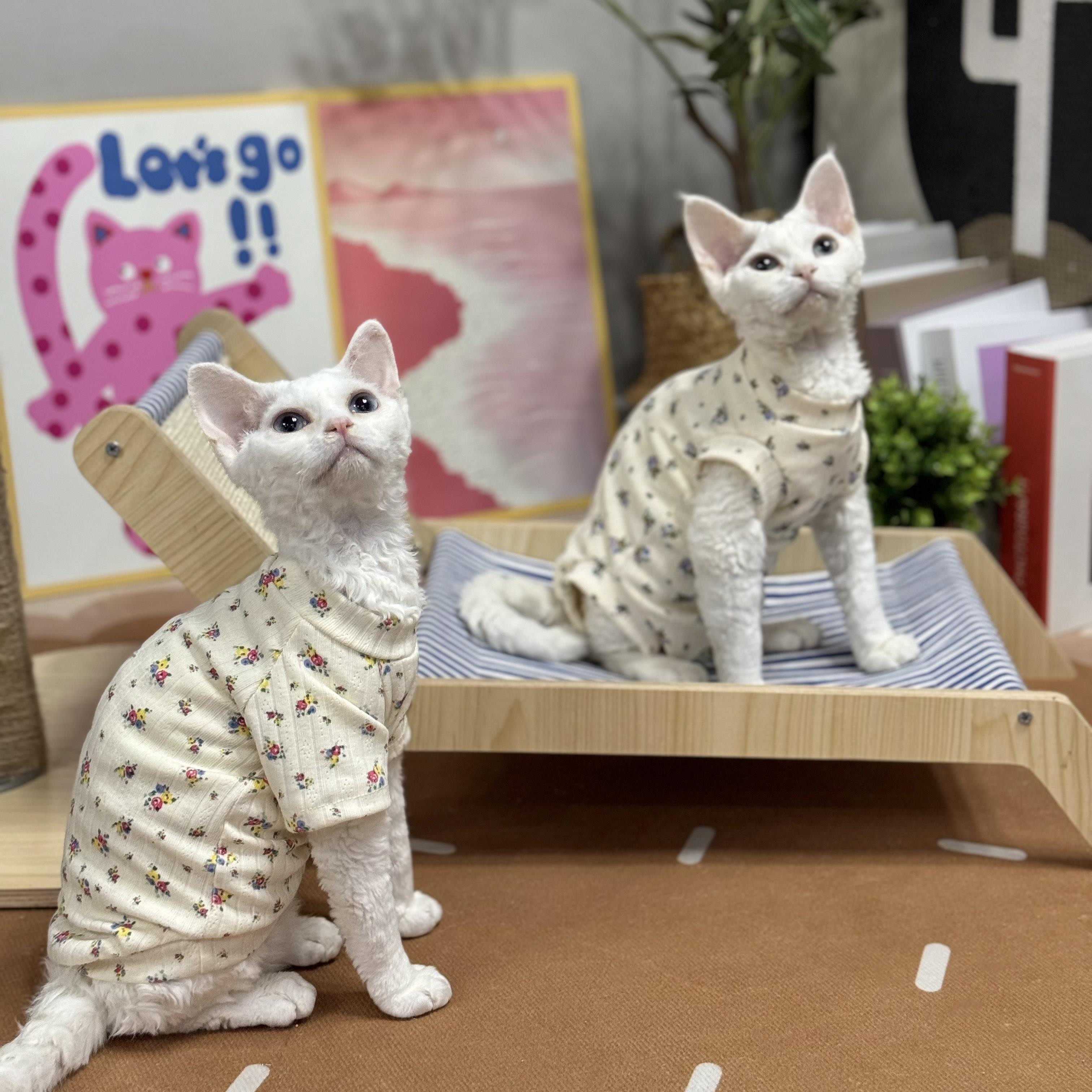 德文无毛猫衣服春夏四脚护肚矮脚短袖可爱打底柔软弹力透气猫衣服图片