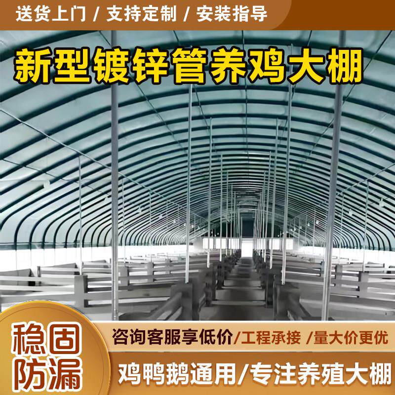 养殖大棚钢管骨架全套定制温室种植棚鸡鸭鹅猪牛羊兔鸽椭圆管镀锌