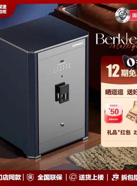 保险柜私人高端家用保险箱宾丽高端指纹智能保