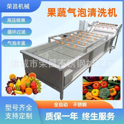 全自动气泡清洗机橘子大枣草么偶蓝莓清洗机喷淋式鼓泡清洗机
