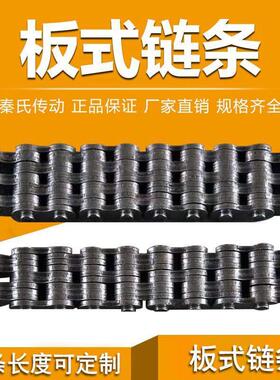 板式链条 LH0644 LH0834 LH0844 LH1034 LH1244 提升链 叉车链