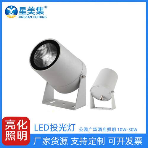 10W20W30W户外公园别墅花园LED彩色公园假山照树防水投光灯