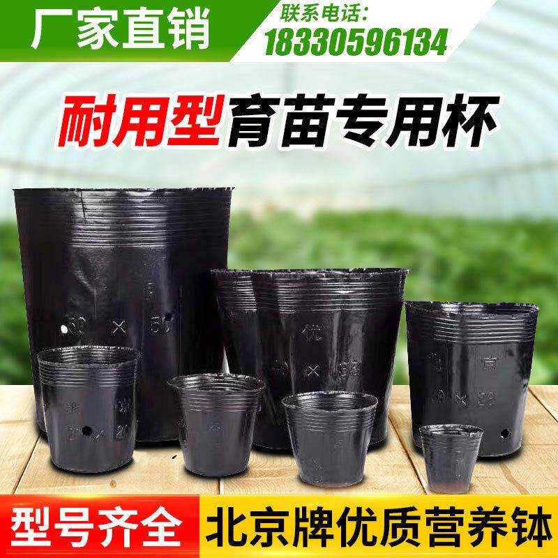 营养杯育苗杯一次性黑色加厚塑料育苗袋厂家直销西瓜育苗盆营养钵