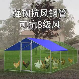 鸡棚家用户外养殖棚户外多功能大型养殖防雨棚孔雀笼鸽子狗舍棚