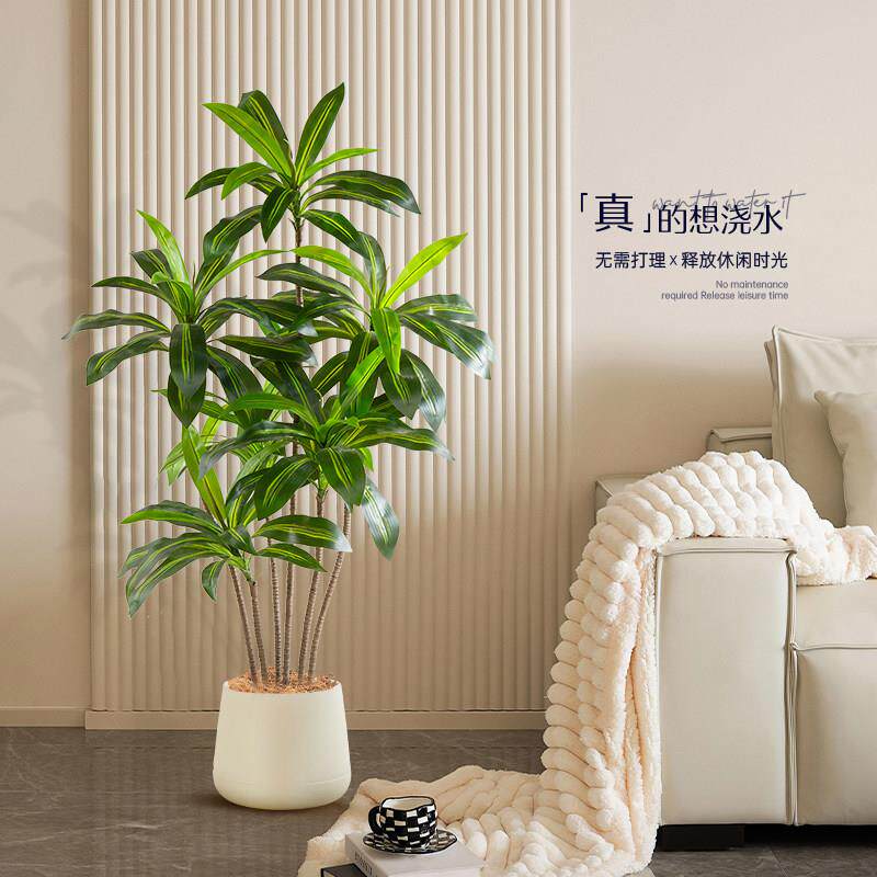 彷真绿色植物巴西木室内客厅沙发边装饰轻奢大型落地盆栽摆件假植