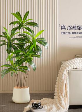 彷真绿色植物巴西木室内客厅沙发边装饰轻奢大型落地盆栽摆件假植