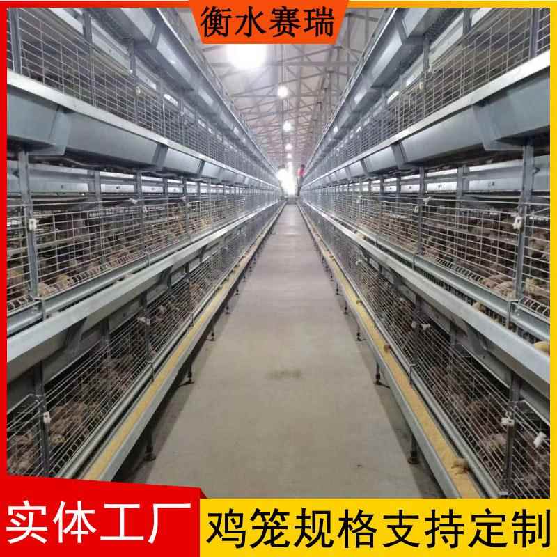 肉鸡笼蛋鸡笼全自动青年鸡肉鸡笼自动喂料鸡笼养殖场用鸡笼