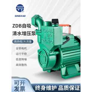 65家用水井泵330W 清笑自吸泵1Zdb 750W水泵 550W