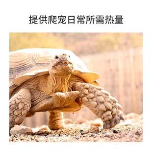 新派宠物REPTIZOO爬虫uva灯保温加热灯泡蜥蜴蛇守宫陆龟晒背日灯