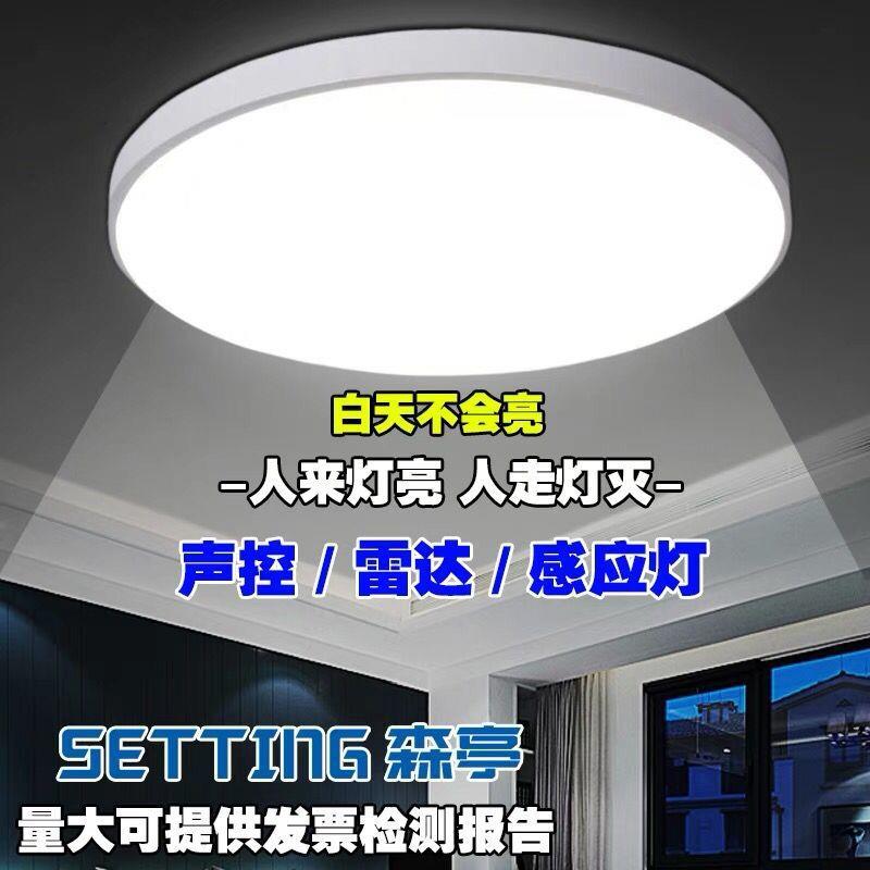 声光控吸灯过梯道走廊车库楼台阶灯声控达智顶能雷人体BBS感应灯